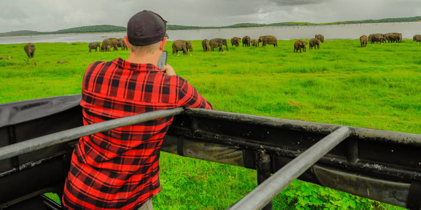 Kaudulla National Park Half Day Sri Lanka Jeep Safari - Why Kaudulla’s elephant gathering is the big draw