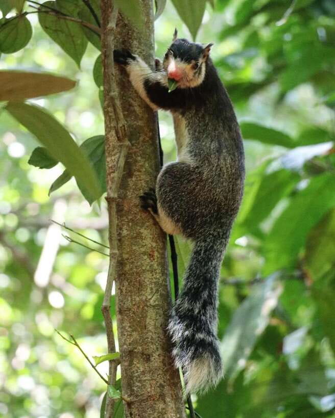 Kaudulla National Park Private Elephant & Wildlife Safari - Birds and smaller wildlife around the water