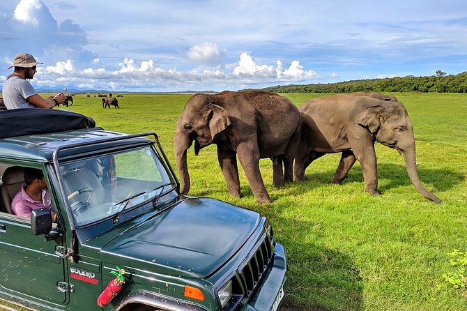 Kaudulla National Park Safari | Jeep with Tickets - The 2:30 pm safari and what the three hours feel like