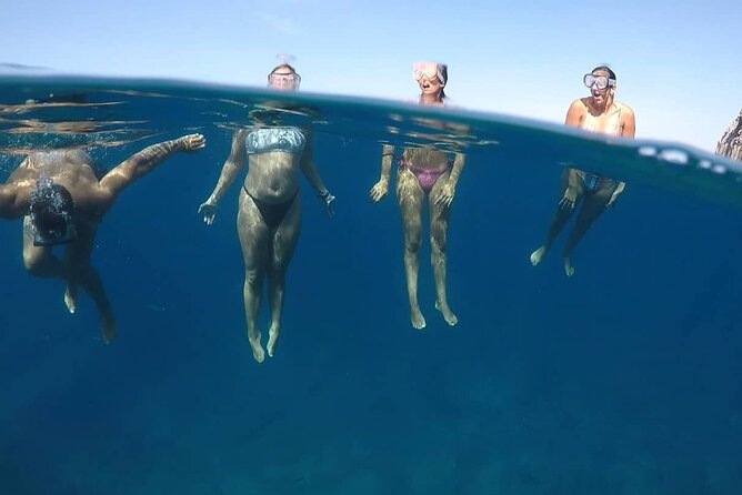 Kayak Safari with Dolphin and Turtle Watching in Guaza - How hard is the three-hour outing?