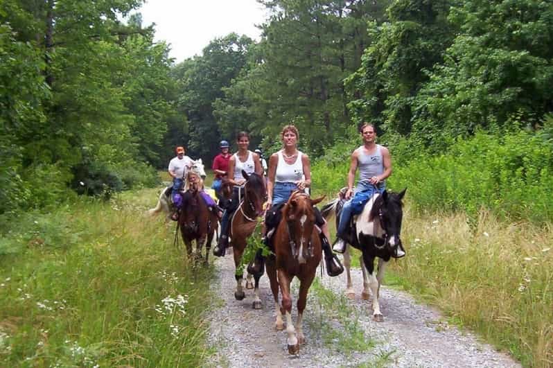 Kemer Horse Safari, pick up from Kiris, Beldibi, Goynuk - Meeting the horses and starting safely