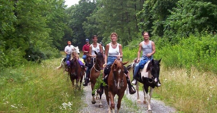Kemer Horse Safari, pick up from Kiris, Beldibi, Goynuk - A calm ride, not a fast one