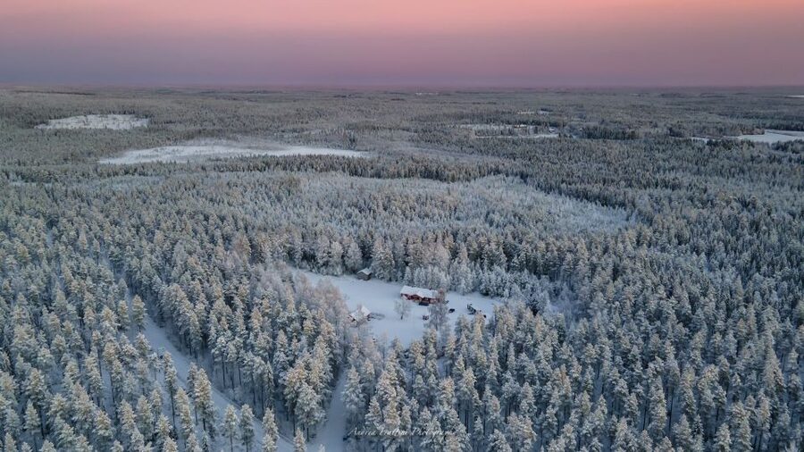 Kemi: Sled Dog Husky Safari Including Hot Drink - Key points at a glance