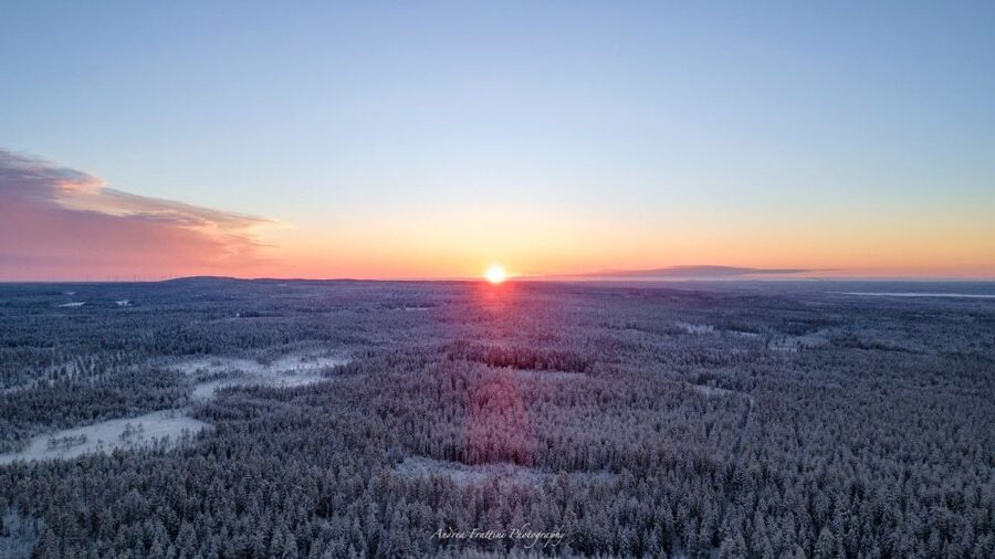 Kemi: Sled Dog Husky Safari Including Hot Drink - Weather, cancellations, and practical planning
