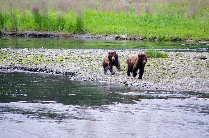 Ketchikan Jeep and Canoe Safari - Key points at a glance
