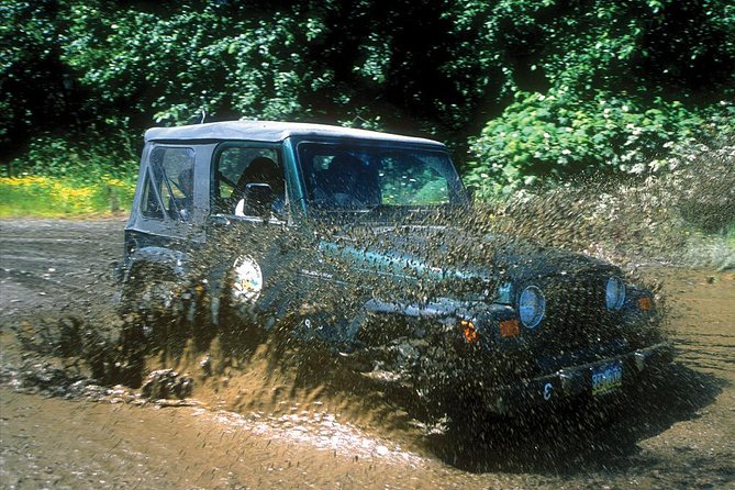 Ketchikan Jeep and Canoe Safari - Timing, transport, and the return to your ship