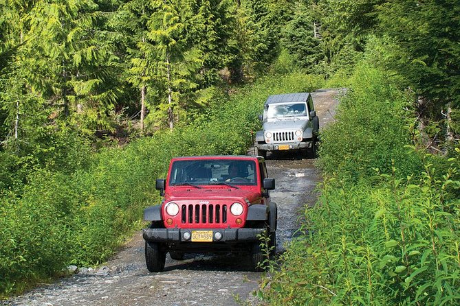 Ketchikan Jeep and Canoe Safari - Who should book this tour?