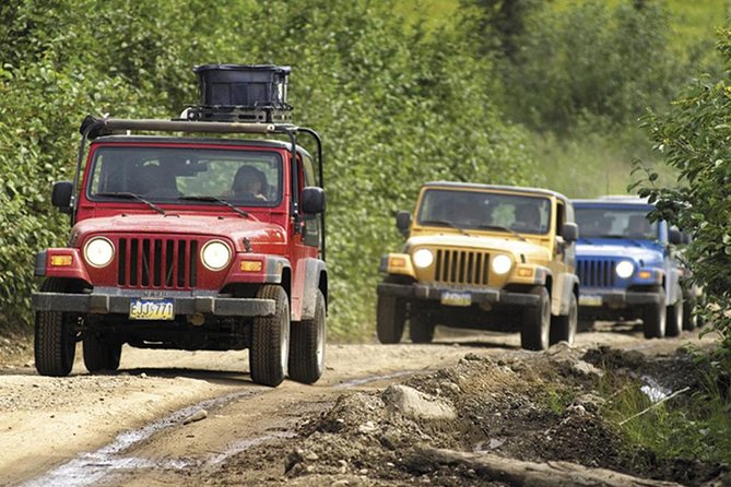 Ketchikan Jeep and Canoe Safari - Taking the wheel on Tongass mountain roads