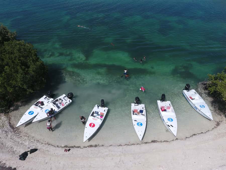 Key West: Eco Safari Sandbar Tour with Snorkeling - Key points to know