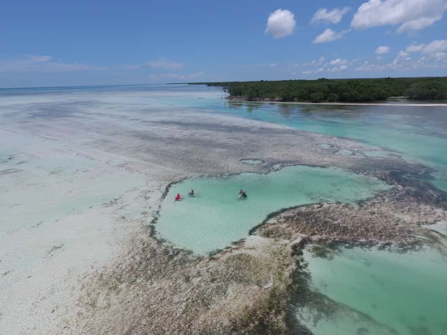 Key West: Eco Safari Sandbar Tour with Snorkeling - Practical details before you reserve