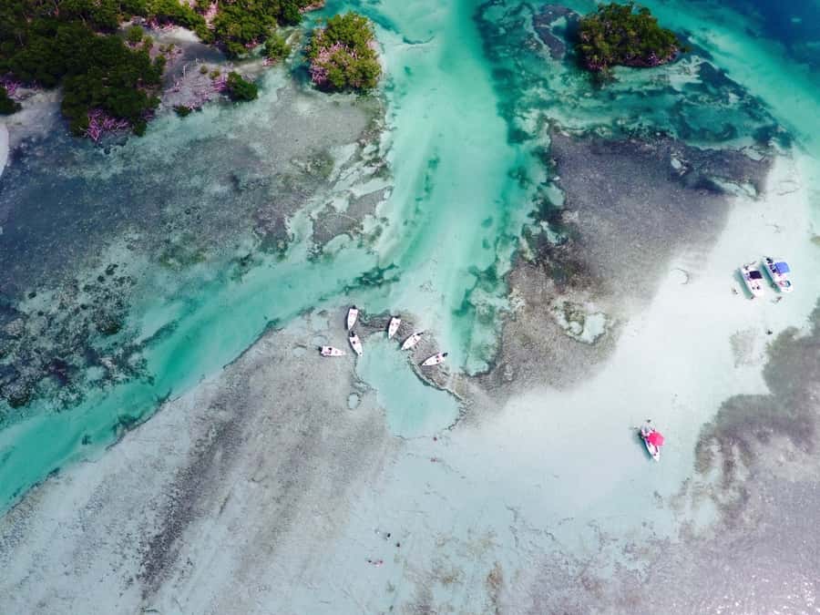 Key West: Eco Safari Sandbar Tour with Snorkeling - Starting at Cow Key Marina on Stock Island