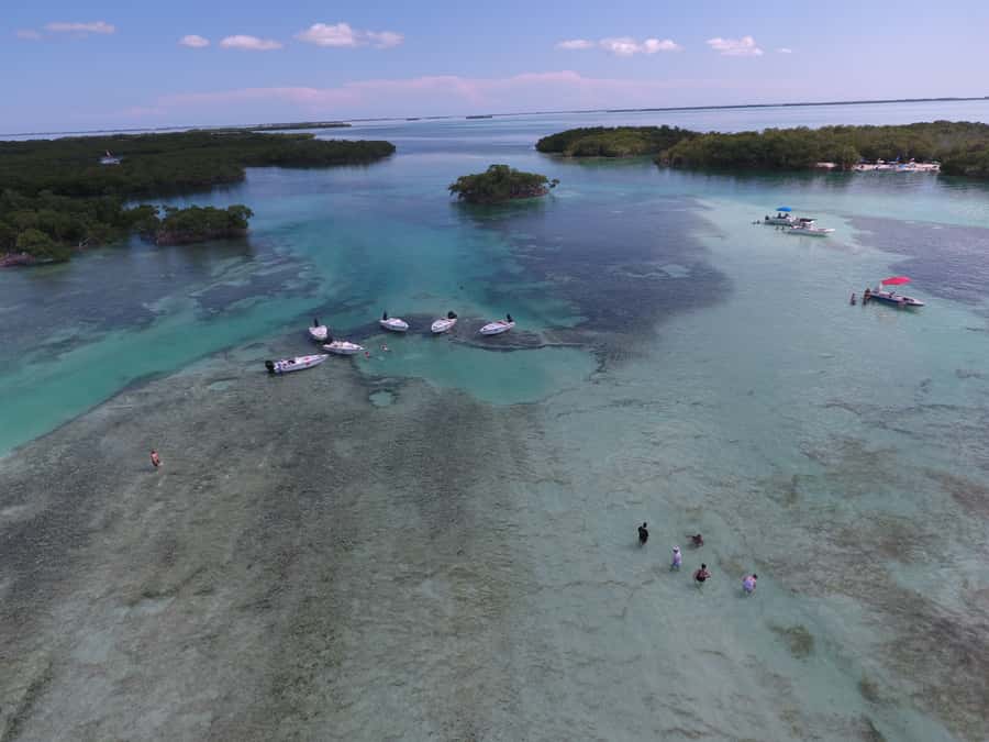 Key West: Eco Safari Sandbar Tour with Snorkeling - Arriving at Mud Key