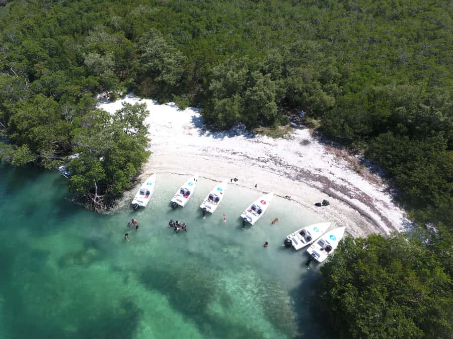 Key West: Eco Safari Sandbar Tour with Snorkeling - Returning through the mangroves