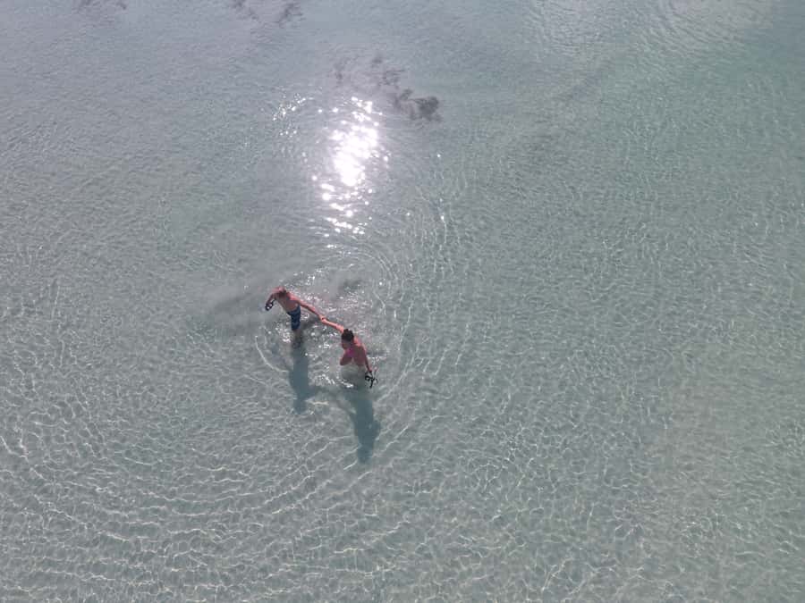 Key West: Eco Safari Sandbar Tour with Snorkeling - What the $178 price means