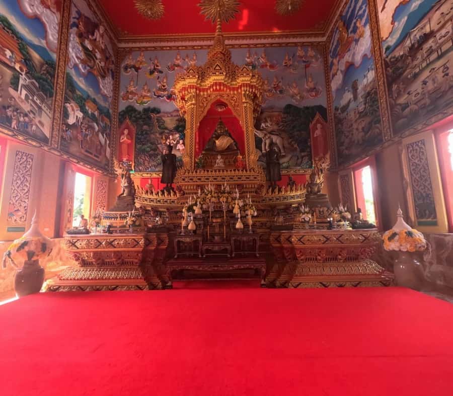 Khao Lak Eco-Safari: Elephants, Tsunami Museum, and Turtles - What to bring and what not to expect