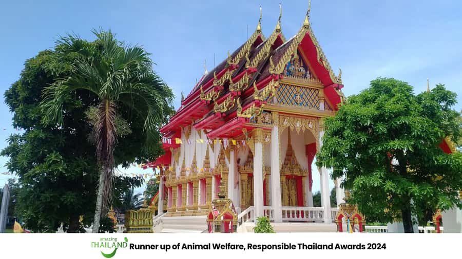 Khao Lak Eco-Safari: Elephants, Tsunami Museum, and Turtles - Why this half-day tour works so well
