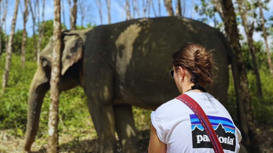 Khao Lak Eco-Safari: Elephants, Tsunami Museum, and Turtles - Wat Lak Kaen and the cultural side of Khao Lak