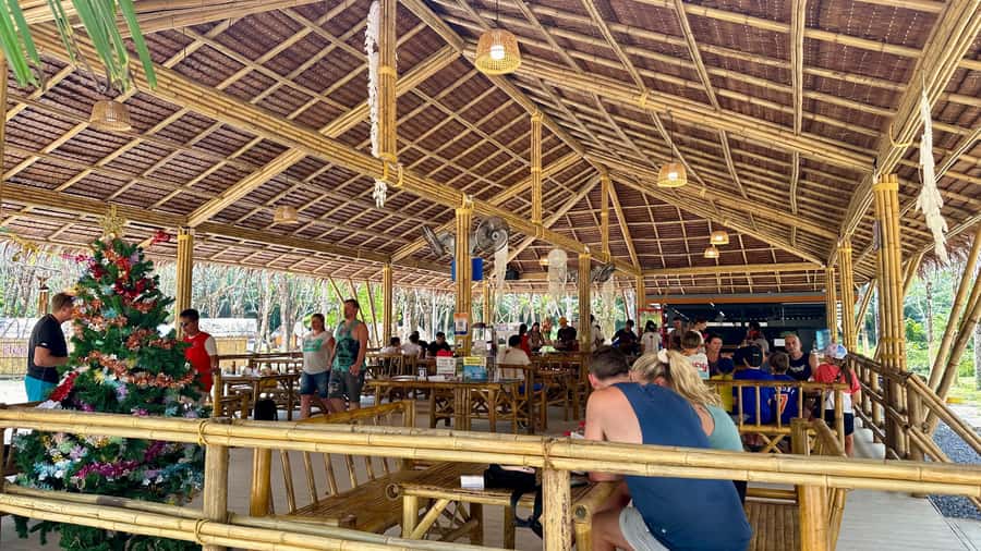 Khao Lak Eco-Safari: Elephants, Tsunami Museum, and Turtles - Inside the Royal Thai Navy turtle nursery