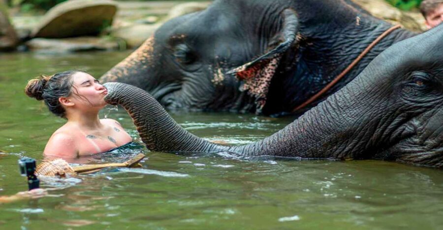 Khao Lak: Elephant Safari with Lunch - Drifting through the jungle on a bamboo raft