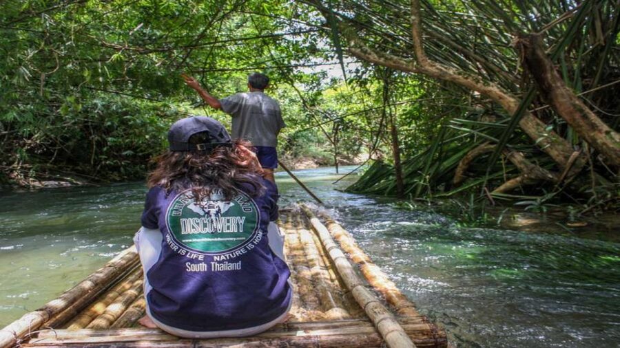 Khao Lak: Elephant Safari with Lunch - Learning about turtles at a protected center