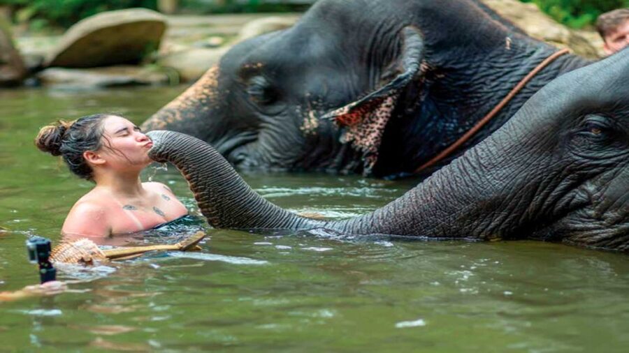 Khao Lak: Elephant Safari with Lunch - A waterfall break, with time to cool off