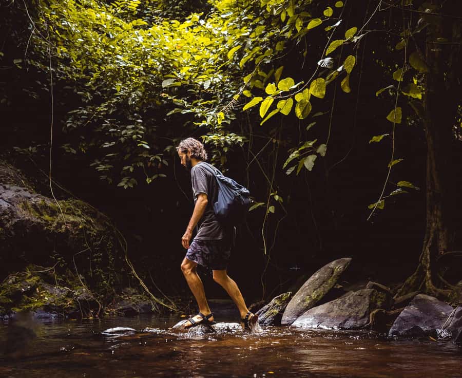 Khao Sok: Private Day Trekking, Jungle Dinner & Night Safari - Who should book this experience