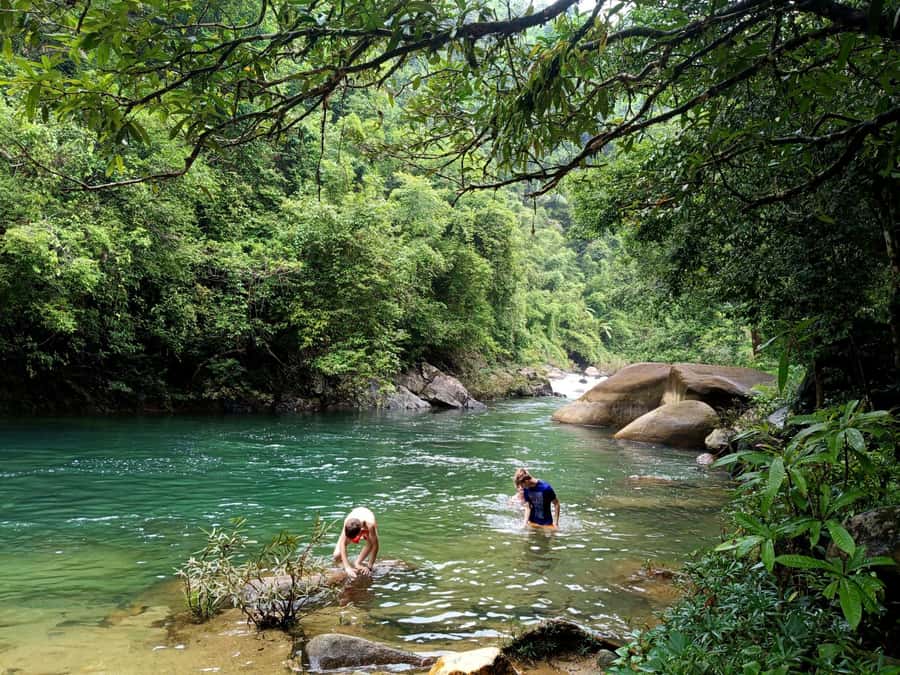 Khao Sok: Private Day Trekking, Jungle Dinner & Night Safari - The first two hours on forest paths