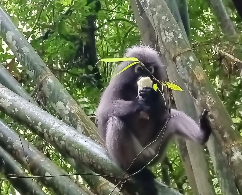 Khao Sok: Private Day Trekking, Jungle Dinner & Night Safari - The waterfall stop and the one-hour break