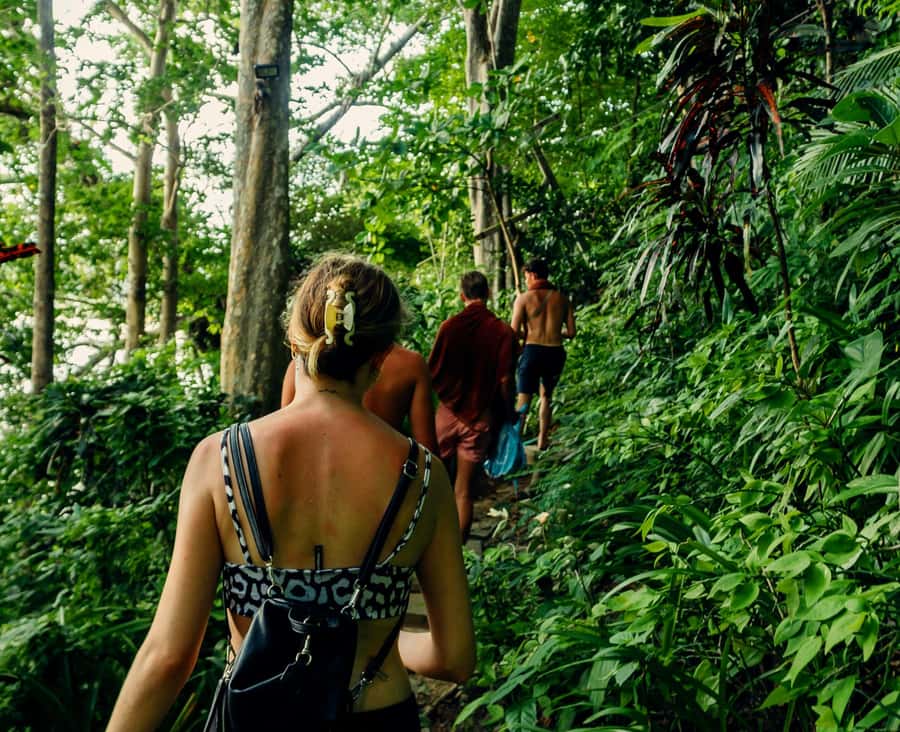 Khao Sok: Private Day Trekking, Jungle Dinner & Night Safari - Bamboo cooking beside the forest