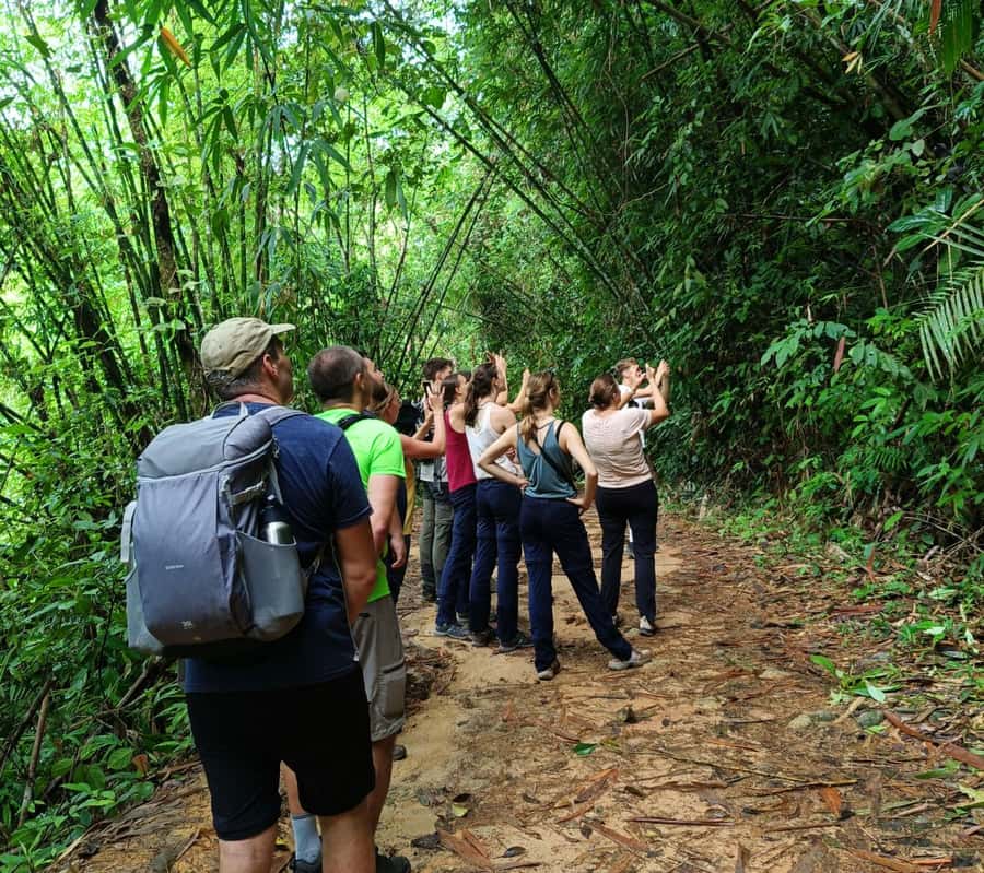 Khao Sok: Private Day Trekking, Jungle Dinner & Night Safari - What the $192 price means for two people