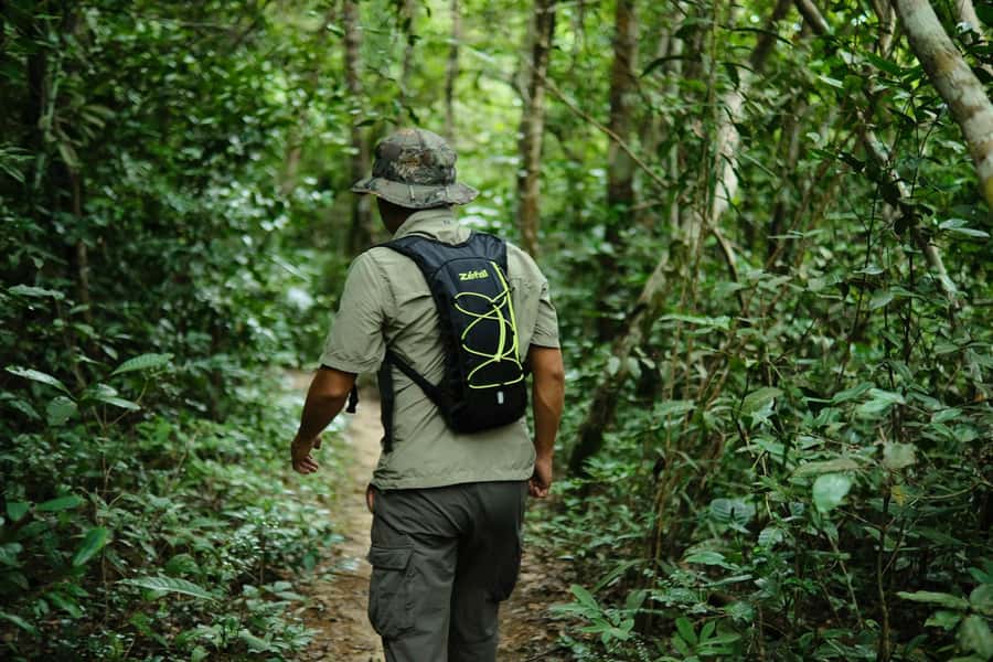 Khao Sok: Private Day Trekking, Jungle Dinner & Night Safari - Pickup in Khlong Sok and the afternoon start