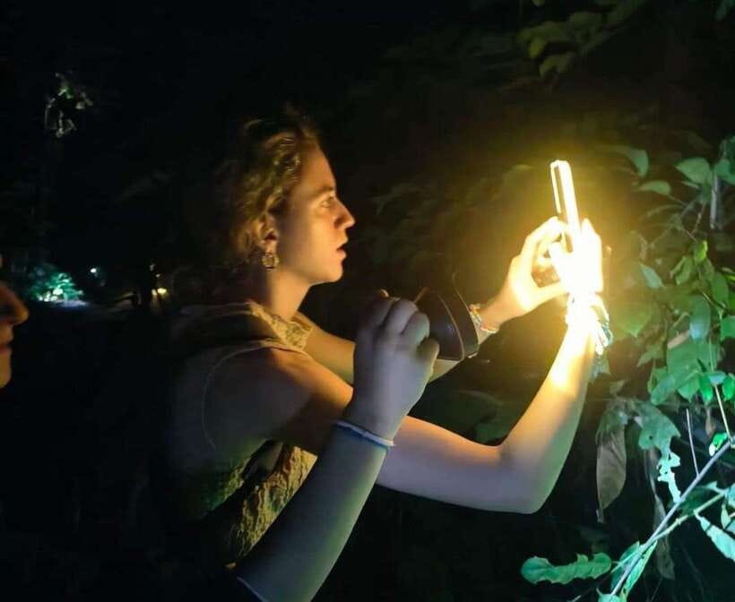 Khao Sok: Private Night Safari Adventure w/ Hotel Transfer - What the Khao Sok night safari is really like
