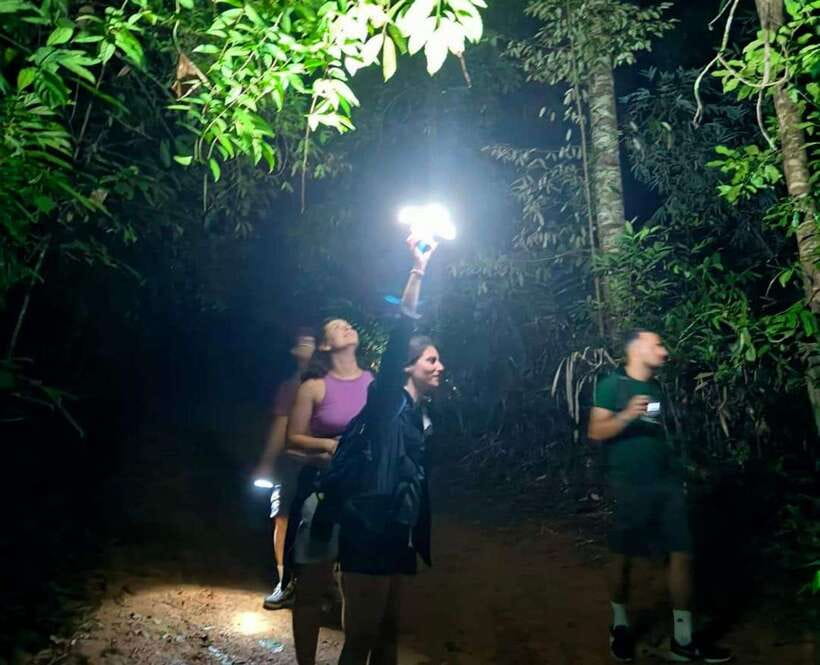 Khao Sok: Private Night Safari Adventure w/ Hotel Transfer - The animals you might find in two hours