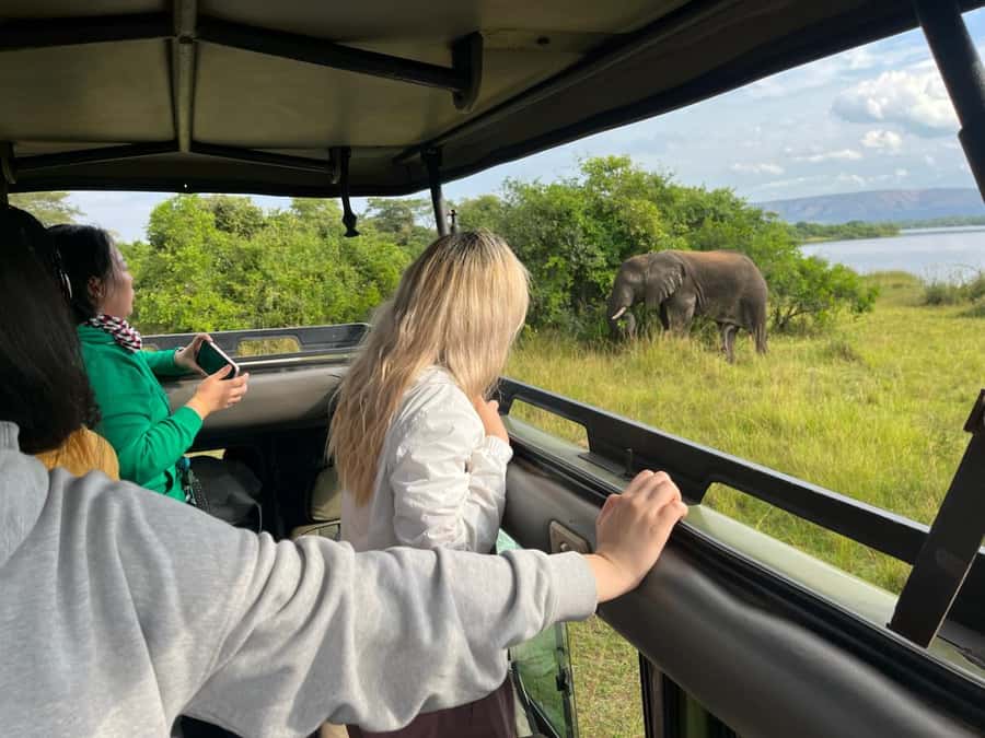 Kigali: Full-Day Akagera Safari + Optional Boat Ride - Entering Akagera: briefing, safety, and the first search