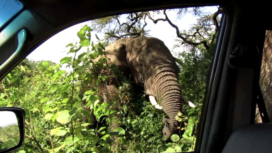 Kigali: Full-Day Akagera Safari + Optional Boat Ride - The second three-hour drive and the optional boat ride
