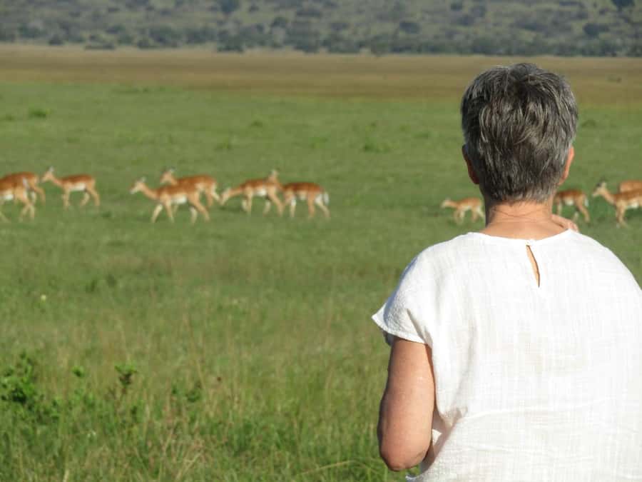 Kigali: Full-Day Akagera Safari + Optional Boat Ride - Price, park fees, and what you receive