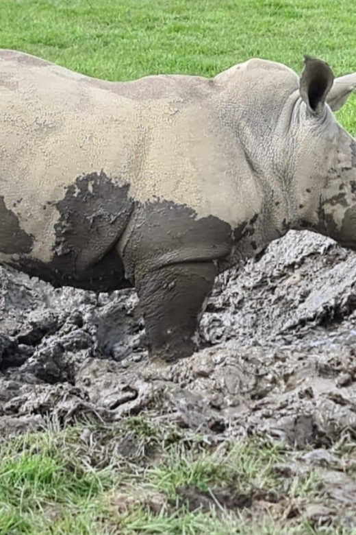 Knowsley: Safari Entry Tickets - Vehicle rules matter more than you might expect