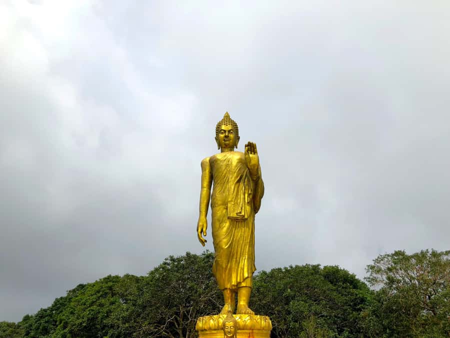 Koh Samui: 4x4 Off Road Island Safari Tour Including Lunch - How the guides shape the day