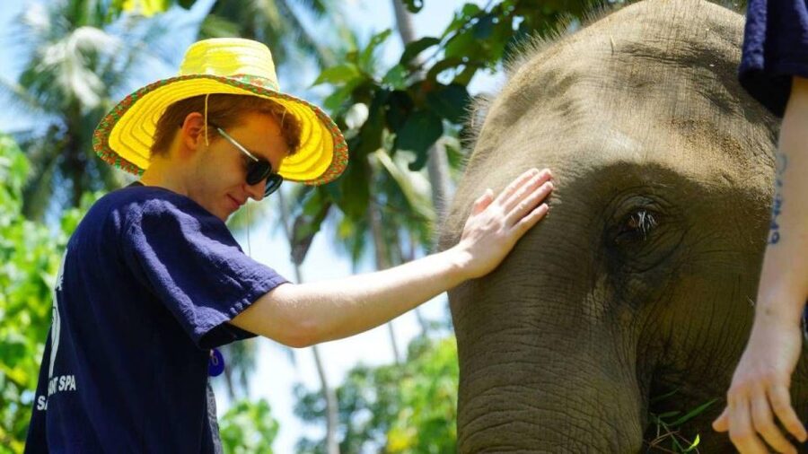 Koh Samui: 4x4 Sightseeing Safari & Elephant Sanctuary Tour - What the 4x4 ride is really like