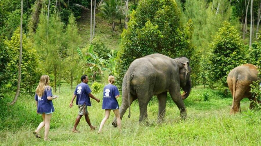 Koh Samui: 4x4 Sightseeing Safari & Elephant Sanctuary Tour - A busy seven-hour route around Koh Samui