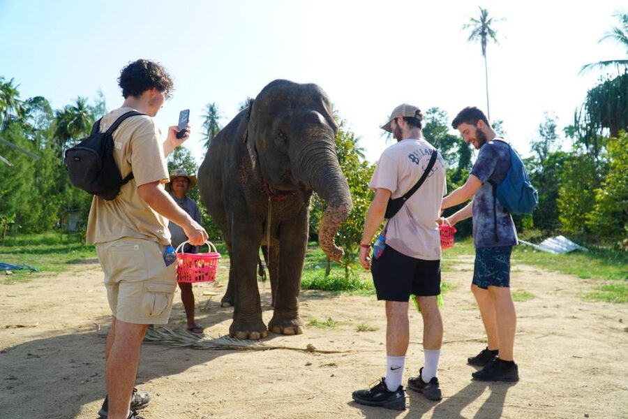 Koh Samui: 4x4 Sightseeing Safari & Elephant Sanctuary Tour - Grandfather and Grandmother Rocks
