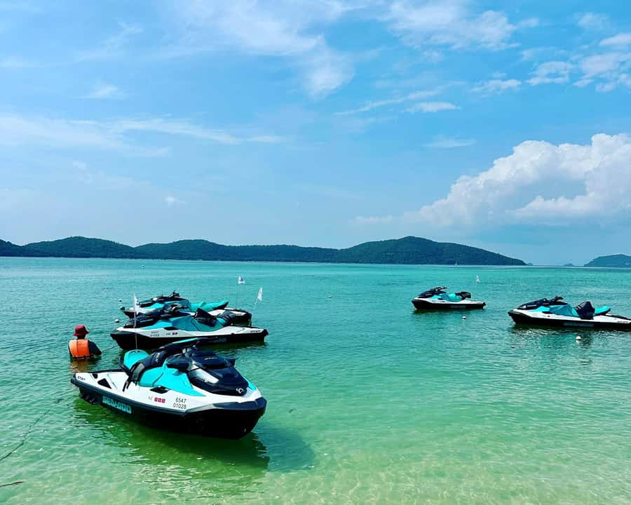 Koh Samui: Jetski Safari, Snorkeling to Pig & Virgin Islands - Pig Island and the famous free-roaming pigs
