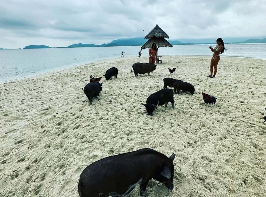 Koh Samui: Jetski Safari, Snorkeling to Pig & Virgin Islands - How much riding do you really get?
