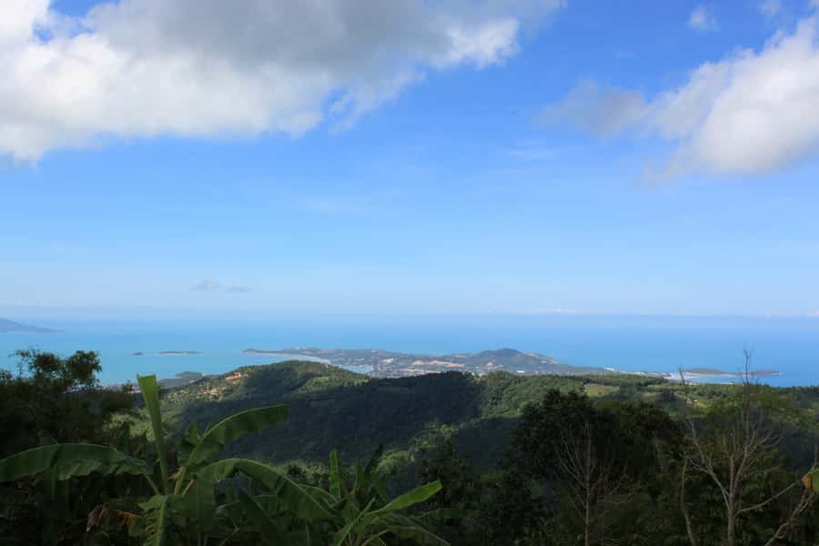 Koh Samui: Mr.Ung's 4WD Wild Jungle Safari Tour with Lunch - Secret Buddha Garden and Wat Teepangkorn