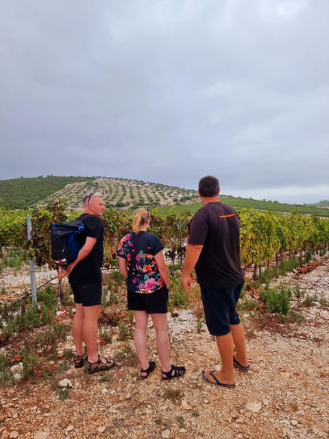 Korcula: Buggy Safari with Local Food and Wine Tasting - The hunting room and family touches