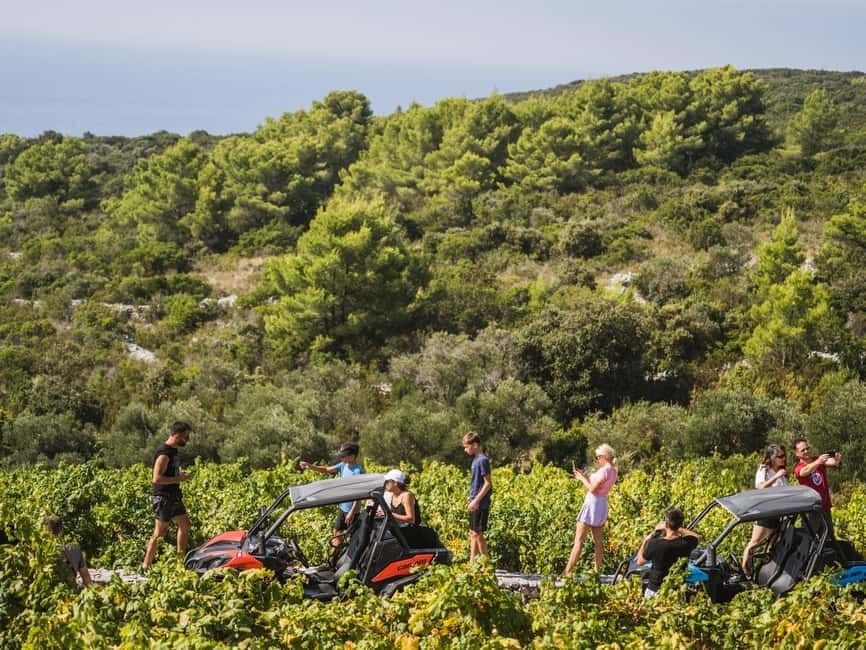 Korcula Buggy Safari With Wine Tasting - Is $129 a fair price?