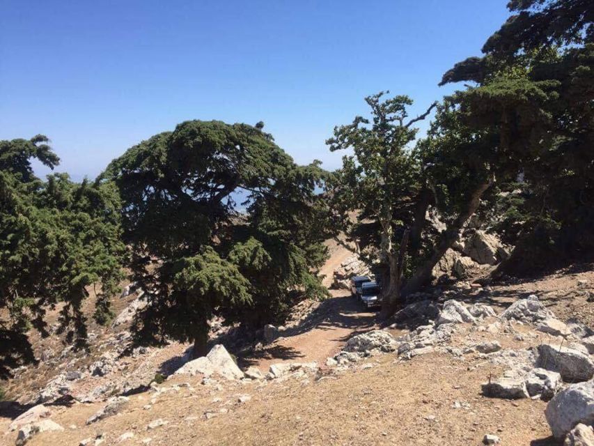 Kos: Full-Day Jeep Safari with Lunch - Starting the day in a six-seat 4x4
