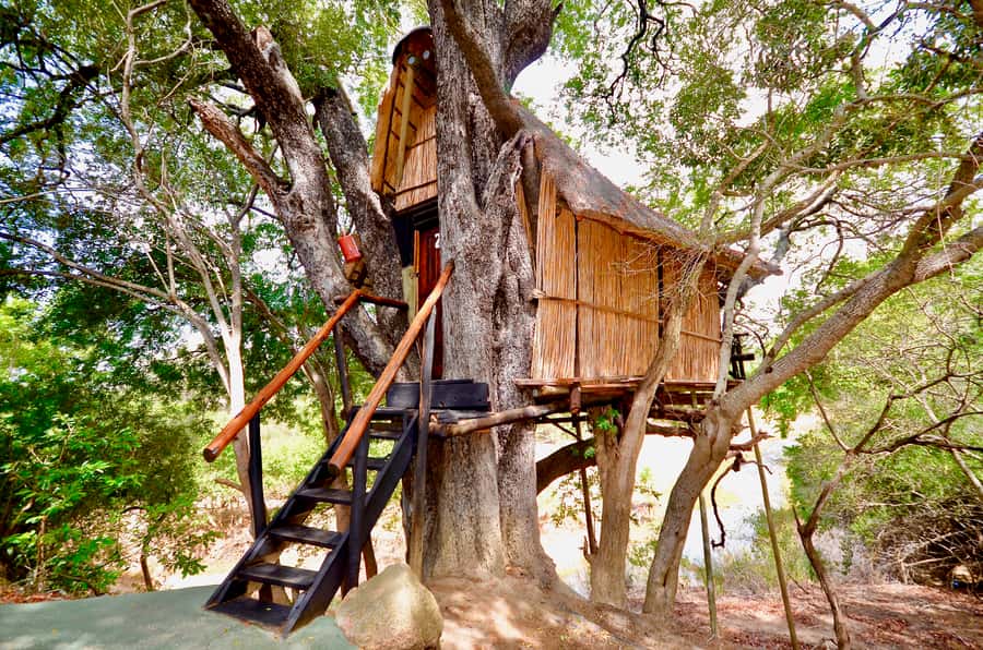 Kruger National Park: 3-Day Safari Tour and Treehouse Stay - From Johannesburg to the Lowveld on day one
