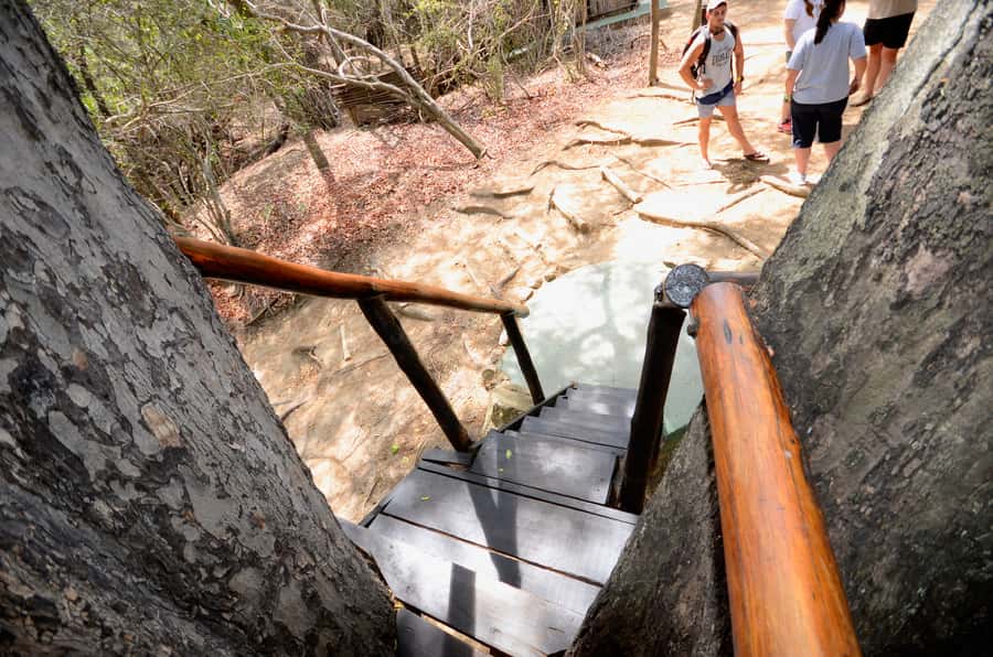 Kruger National Park: 3-Day Safari Tour and Treehouse Stay - FAQ