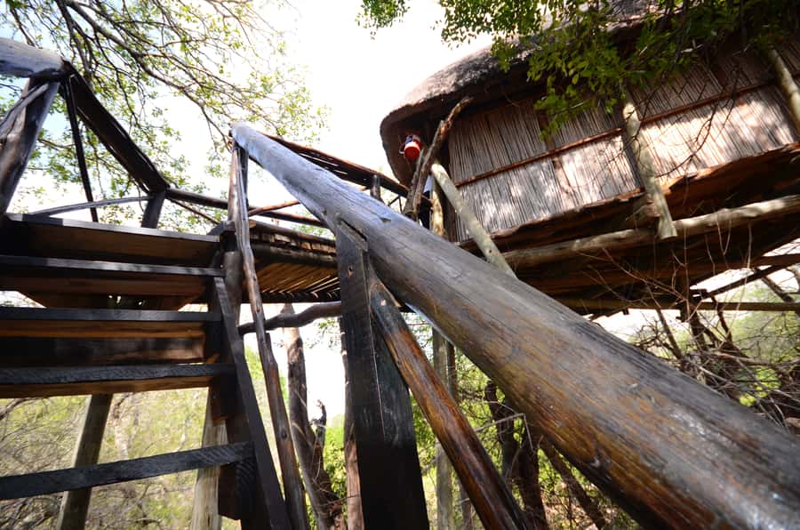 Kruger National Park: 3-Day Safari Tour and Treehouse Stay - A four-hour sunset drive in Balule